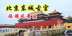 黄色操逼学生妹免费网站中国北京-东城古宫旅游风景区